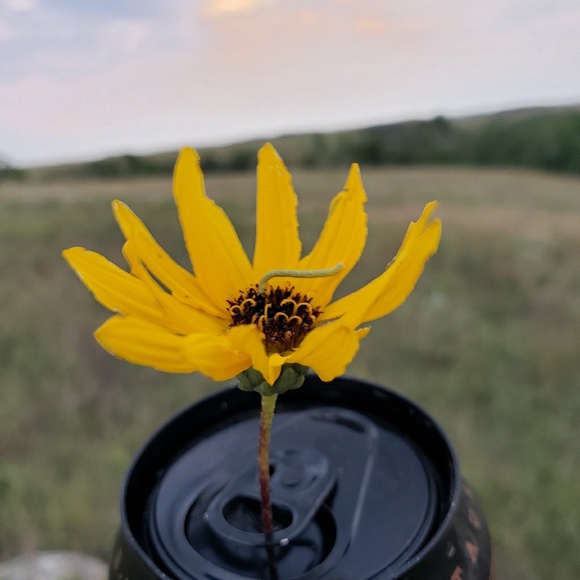 Meet your Posher, Brittney - Picture 1 of 1